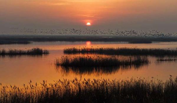 三角洲高级弹药箱怎么换划算(有没有更省钱的换高级弹药箱方法?) 三角洲高级弹药箱怎么换划算(有没有更省钱的换高级弹药箱方法?)